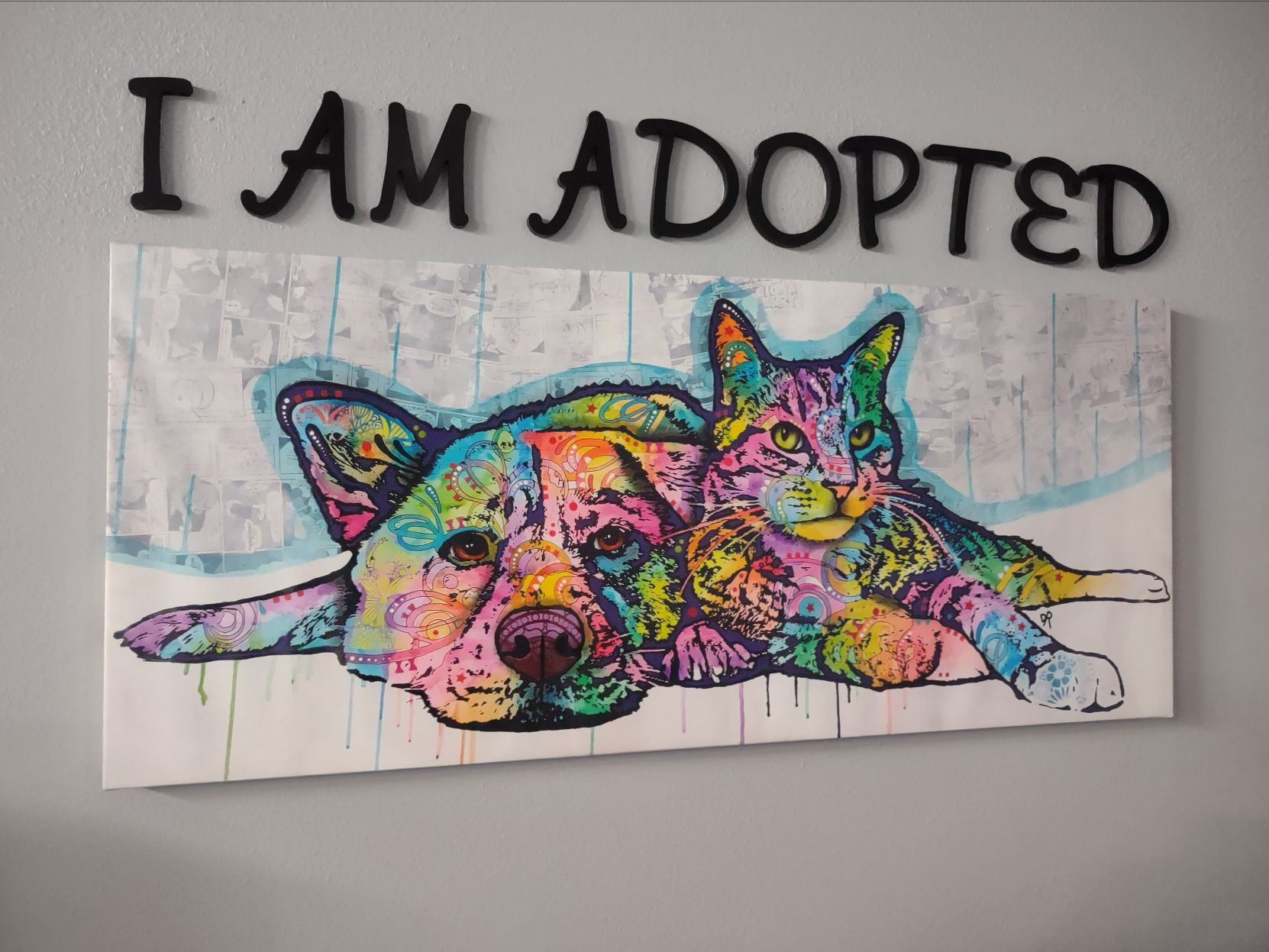 Pinal County Animal Control Center